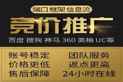 行业领先！专业SEM托管的成功实践案例